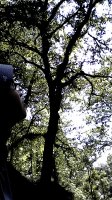 IMG_20170416_100804_186.jpg