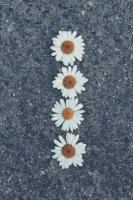 20170802155321.jpg
