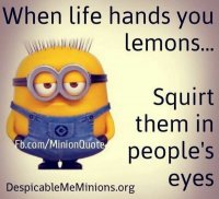 42643d999e2b5ad1089370545386d5f6.jpg