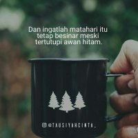 96cbecfe98ff9c2b3f8e2bd8288682a7.jpg
