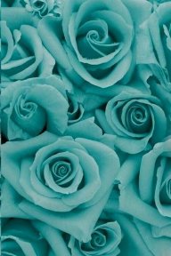 Tosca