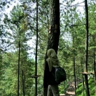 Penulis Aksara