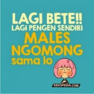 an febriyanti