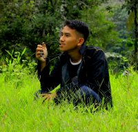 amsal