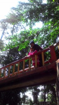 Dinda308