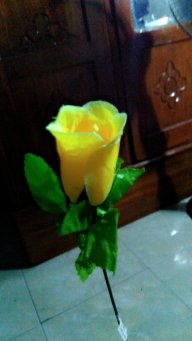 Honeyriz