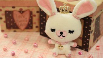 Bunny_Xoxo