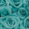Tosca
