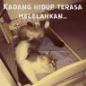 Ariana Ningtyas