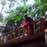Dinda308