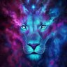 LION24