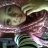 anjel