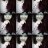 puttry anjally