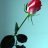 xsafir_m